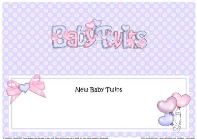 New Baby Twins Matching Large Dl Insert