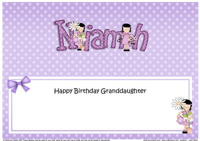 Girlz Birthday Niamh Large Dl Matching Large Dl Insert
