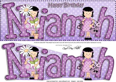 Girlz Birthday Niamh Large Dl Quick Card 3D Decoupage