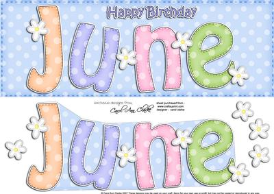 Large Dl Birthday June Quick Card 3D Decoupage