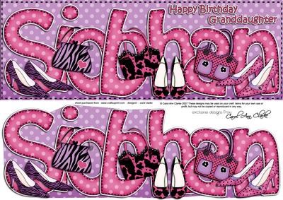 Large Dl Birthday Siobhan Quick Card 3D Decoupage
