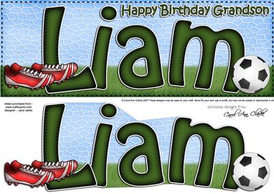Large Dl Birthday Liam Quick Card 3D Decoupage