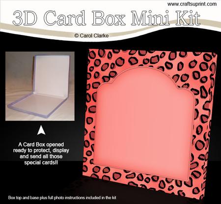Animal Print 6 x 6 Square Card Box Mini Kit