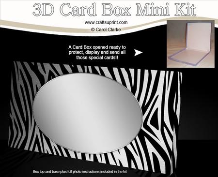 Zebra Stripes Dl Card Box Mini Kit