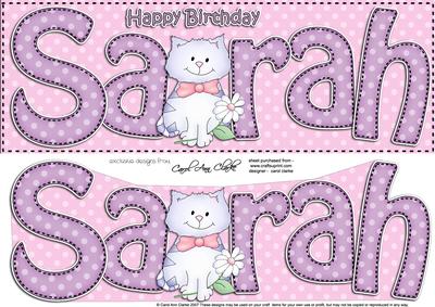 Large Dl Birthday Sarah Quick Card N 3D Decoupage