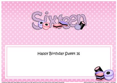 Birthday Sweet Sixteen Matching Large Dl Insert