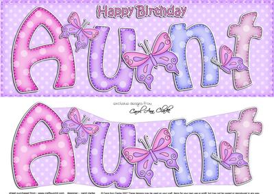 Large Dl Birthday Aunt Quick Card 3D Decoupage