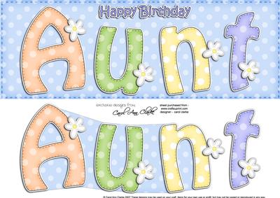 Large Dl Birthday Aunt Quick Card & 3D Decoupage
