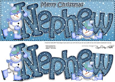 Large Dl Xmas Nephew Quick Card 3D Decoupage