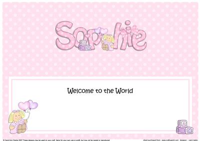 New Baby Sophie Matching Large Dl Insert
