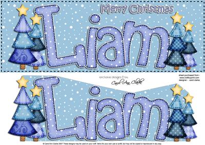 Xmas Large Dl Liam Quick Card N 3D Decoupage