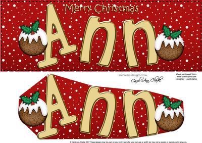 Xmas Large Dl Ann Quick Card N 3D Decoupage