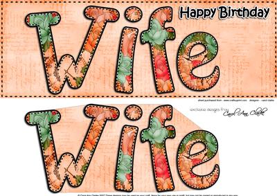 Large Dl Birthday Wife Quick Card & 3D Decoupage