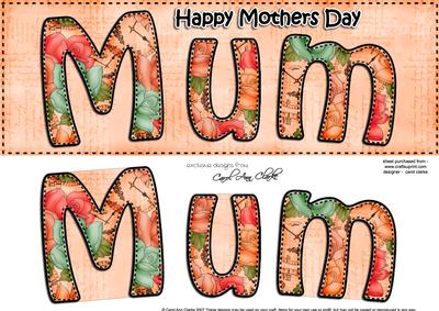 Large Dl Mothers Day Mum Card & 3D Decoupage