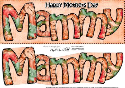 Large Dl Mothers Day Mammy Card & 3D Decoupage