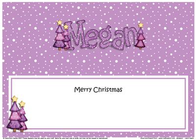 Xmas Megan Matching Large Dl Insert