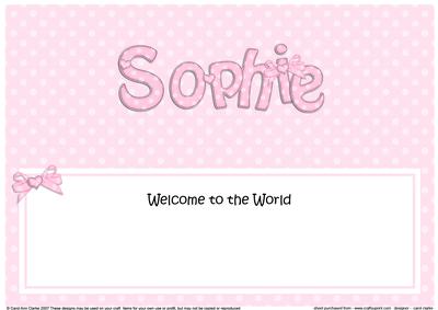 New Baby Sophie Matching Large Dl Insert
