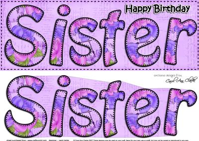 Large Dl Birthday Sister Card & 3D Decoupage