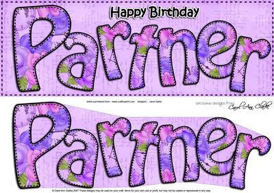 Birthday Partner Large Dl Quick Card 3D Decoupage