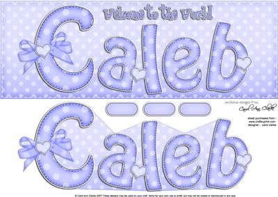 Large Dl New Baby Caleb Quick Card N 3D Decoupage