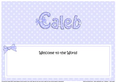 New Baby Caleb Matching Large Dl Insert