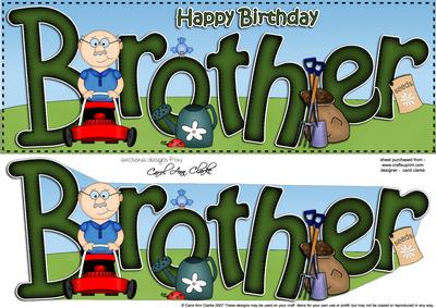 Large Dl Happy Birthday Brother Card & 3D Decoupage
