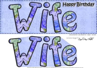Large Dl Happy Birthday Wife Card & 3D Decoupage