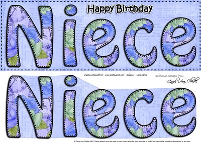 Large Dl Happy Birthday Niece Card & 3D Decoupage