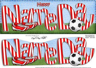 Large Dl Happy Name Day Card & 3D Decoupage