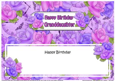 Happy Birthday Granddaughter Matching Large Dl Insert