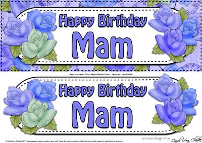 Large Dl Birthday Mam Quick Card & 3D Decoupage
