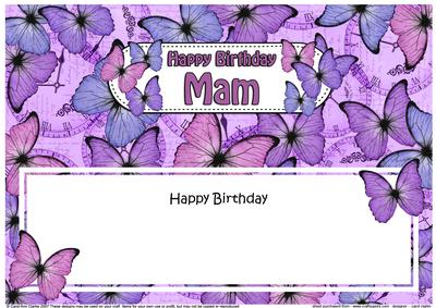 Happy Birthday Mam Butterflies Matching Large Dl Insert