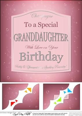 8 x 8 Birthday Granddaughter Champers Label Scalloped Toppe