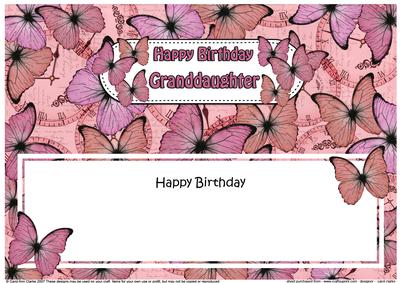 Birthday Granddaughter Butterflies Matching Large Dl Insert