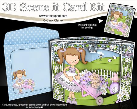 3D Girlz Liz's Wheelbarrow Scene It Card Kit