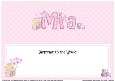 New Baby Mia Teddies Matching Large Dl Insert