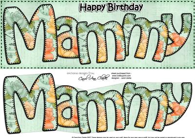 Large Dl Birthday Mammy Roses Quick Card & 3D Decoupage