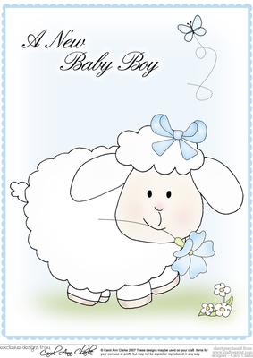 A4 Little Lamb - New Baby Boy
