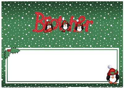Xmas Brother with Penguins Matching Large Dl Insert