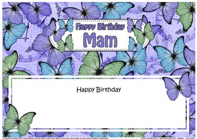 Birthday Mam Butterflies Large Dl Matching Insert