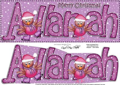 Merry Christmas Allanah Robins Large Dl & 3D Decoupage