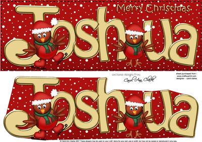 Merry Christmas Joshua Robins Large Dl & 3D Decoupage