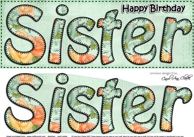Large Dl Birthday Sister Roses Card & 3D Decoupage