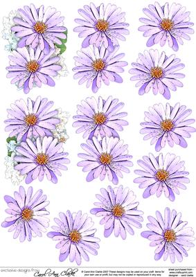 Pretty Daisy Floral 3D Decoupage Designs