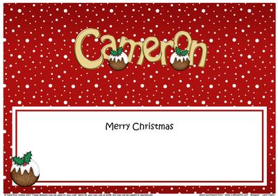 Merry Christmas Cameron Xmas Puds Matching Large Dl Insert