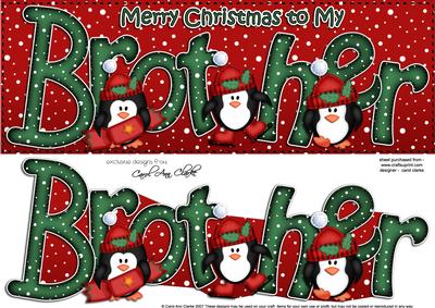 Large Dl Xmas Brother with Penguins Card & 3D Decoupage