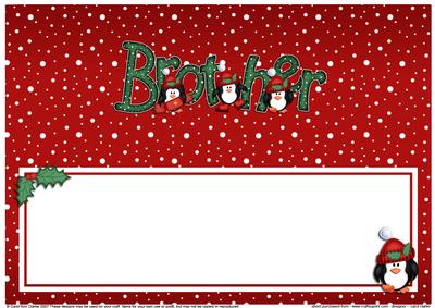 Xmas Brother with Penguins Matching Large Dl Insert