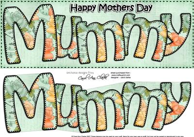 Large Dl Mothers Day Mummy Roses Card & 3D Decoupage