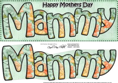 Large Dl Mothers Day Mammy Roses Card & 3D Decoupage