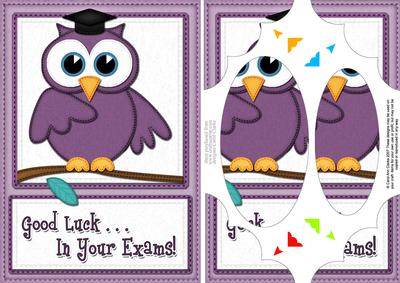 A5 Wise Owl Exam Good Luck Felties Scallop Corner N Pyramage